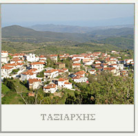 Ιερός Ναός Αγίου Αρχάγγελου - Θαυματουργή εικόνα του Αγίου Αρχάγγελου Μιχαήλ - Ταξιάρχης - Χαλκιδική