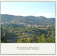 Ιερός Ναός Αγίου Αρχάγγελου - Θαυματουργή εικόνα του Αγίου Αρχάγγελου Μιχαήλ - Ταξιάρχης - Χαλκιδική